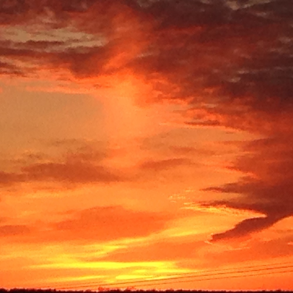 Meet your Posher, Ross